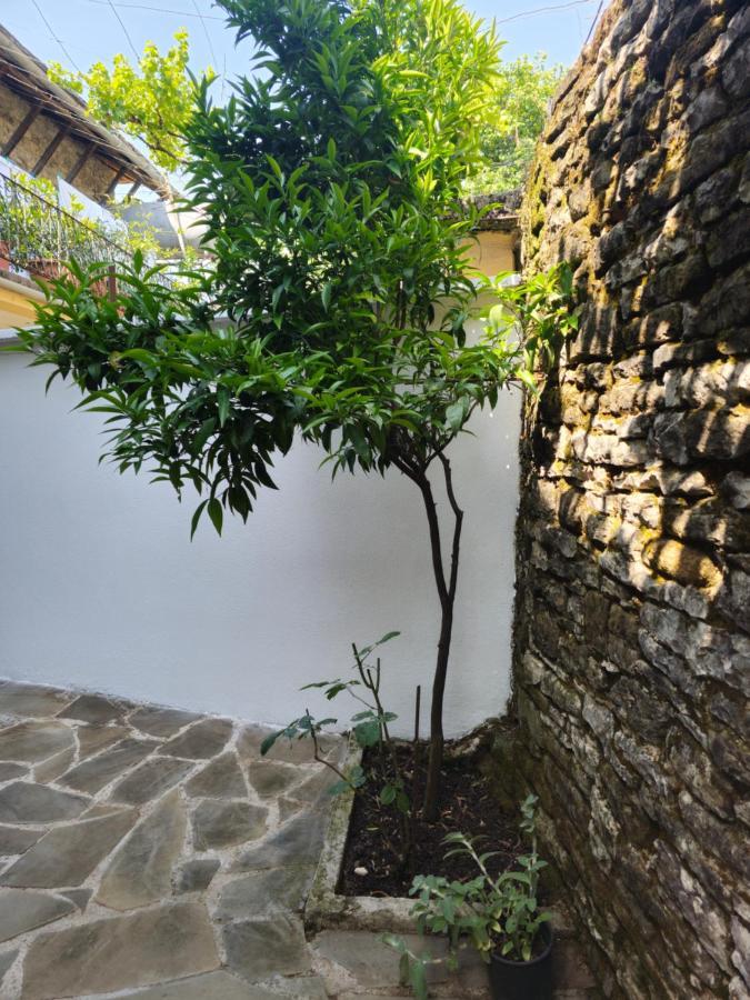 Traditional House Shapllo Gjirokastër Exteriér fotografie